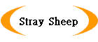Stray Sheep